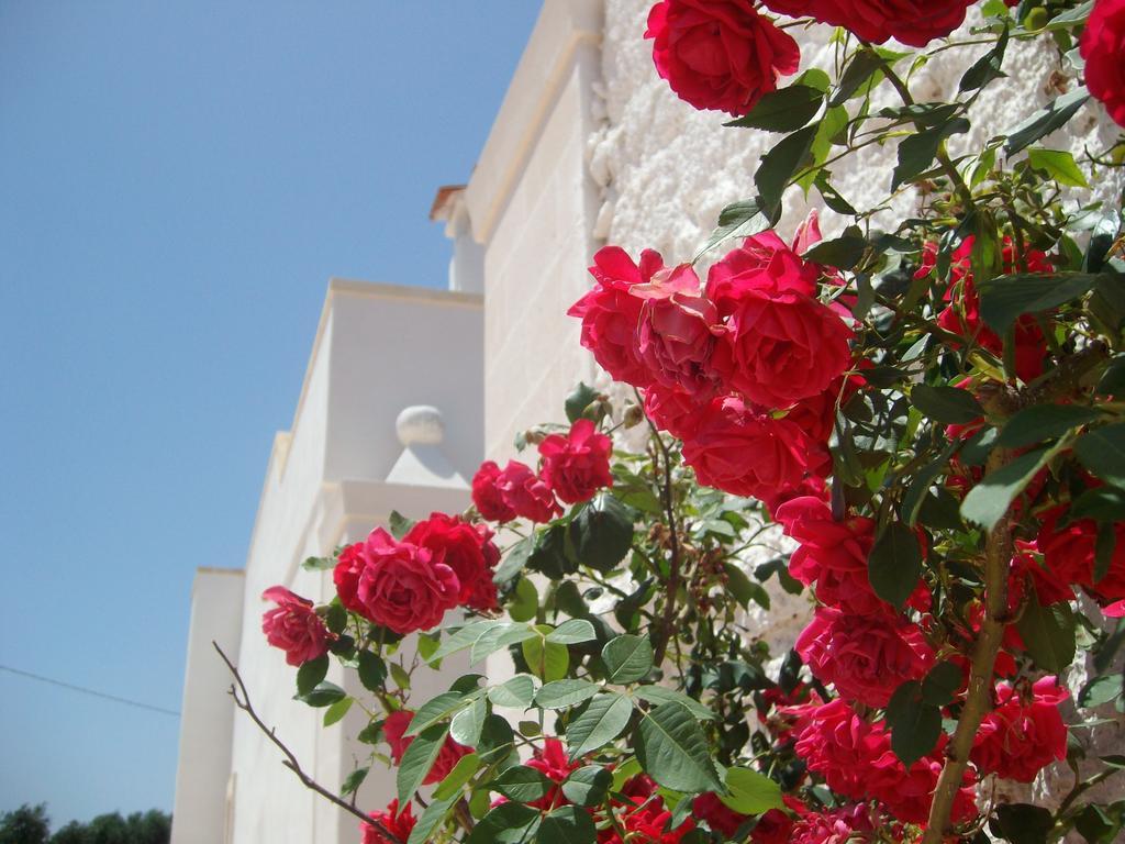 San Marzano di San Giuseppe Masseria Nuovaゲストハウス エクステリア 写真