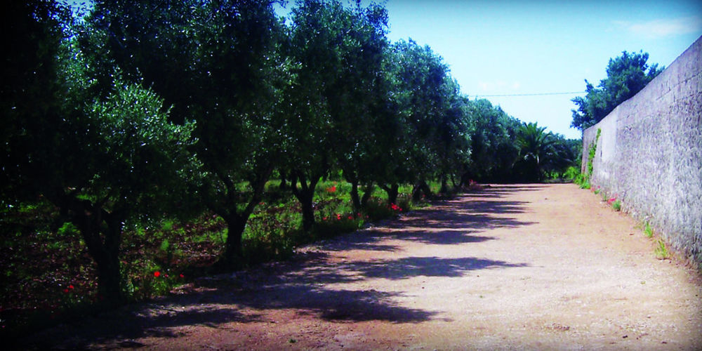 Masseria Nuova フランカヴィッラ・フォンターナ エクステリア 写真
