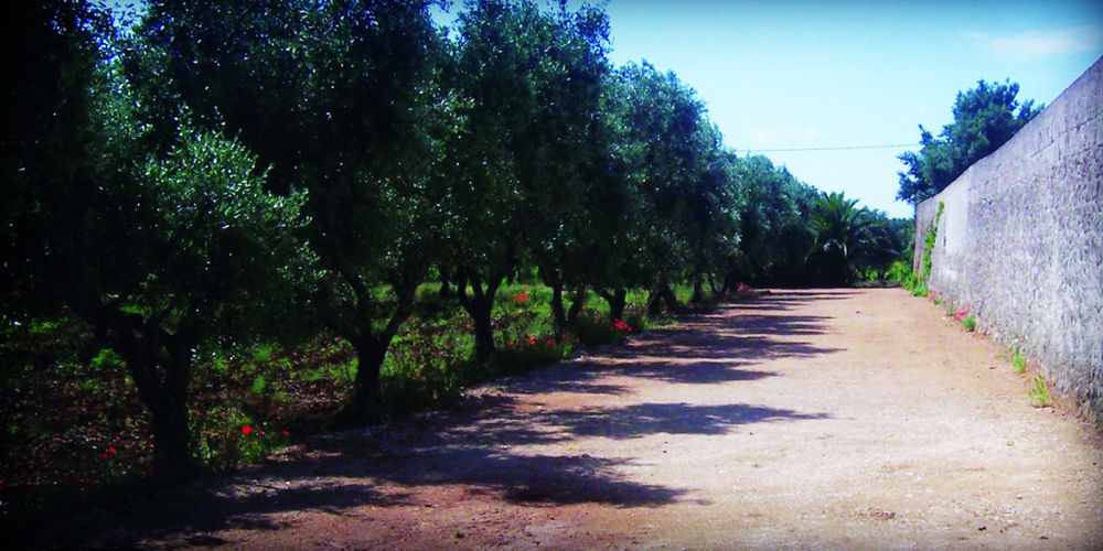 San Marzano di San Giuseppe Masseria Nuovaゲストハウス エクステリア 写真